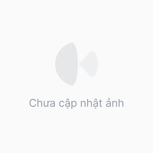 Outlet tổng hợp